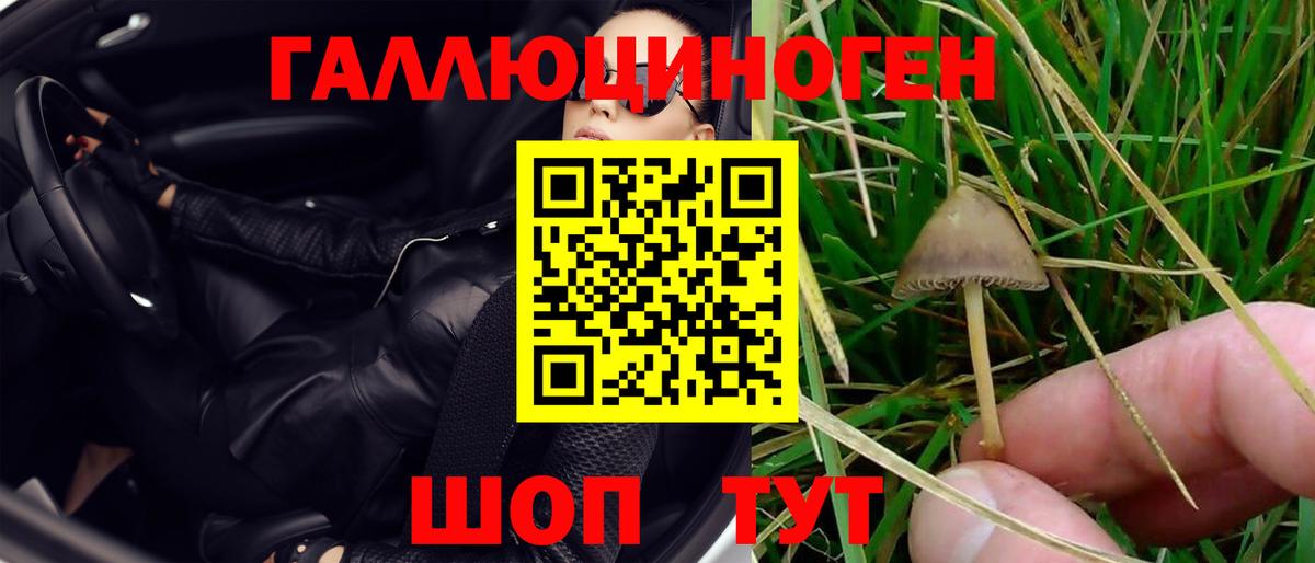 Псилоцибиновые грибы прущие грибы Изобильный